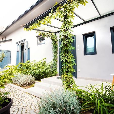 Apartmani Sterija Νόβι Σαντ Εξωτερικό φωτογραφία
